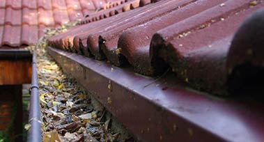 gutter cleaner